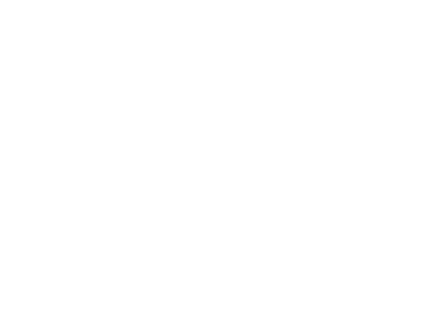 SEGURIDAD 1-1