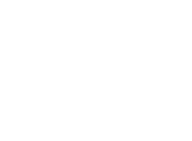 SEGURIDAD 2 -1