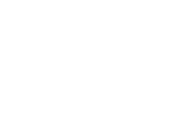 SEGURIDAD 4 -1